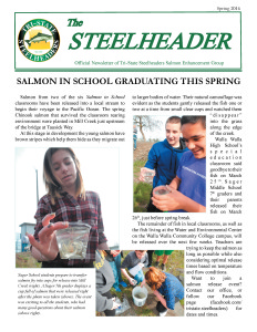 Newsletter cover