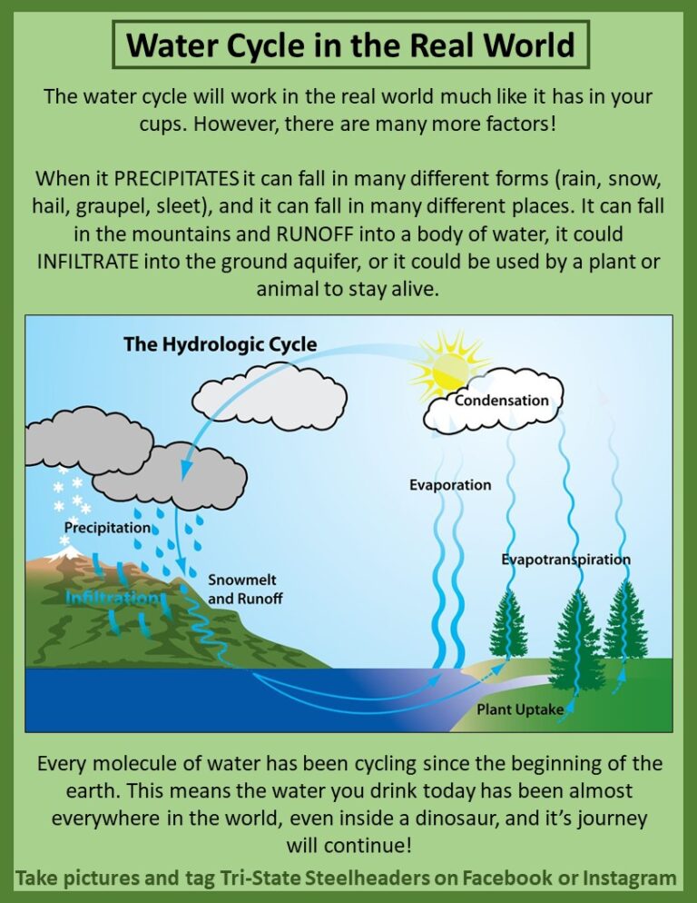 Water Cycle Experiment | Tri-State Steelheaders